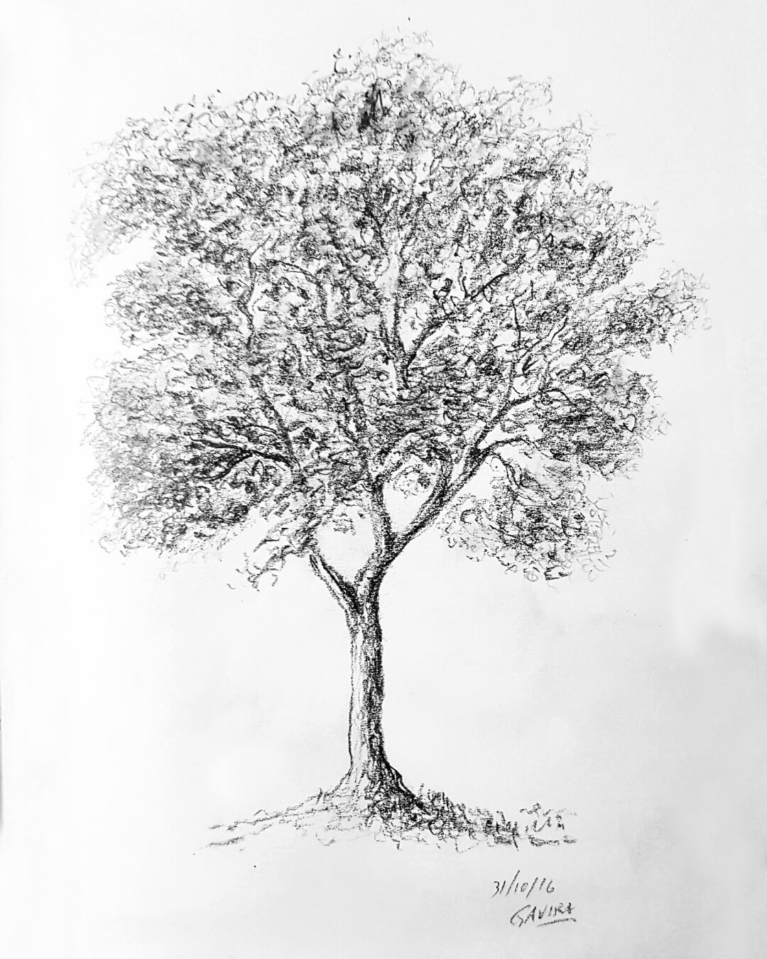 Árvore Solitária